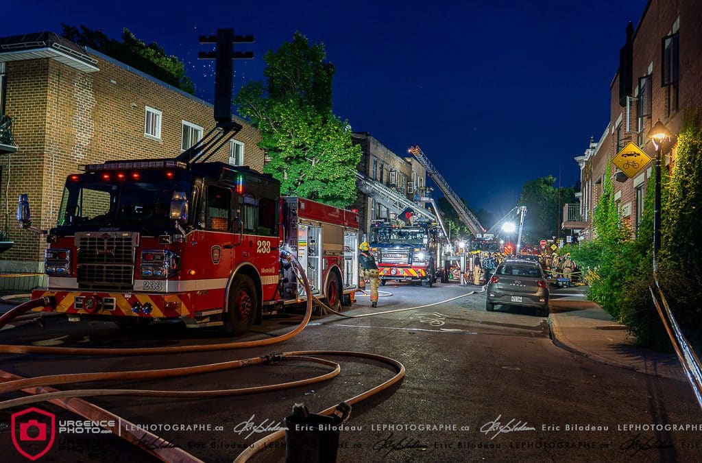 2025-06-29 @ 5790 HADLEY 10-14